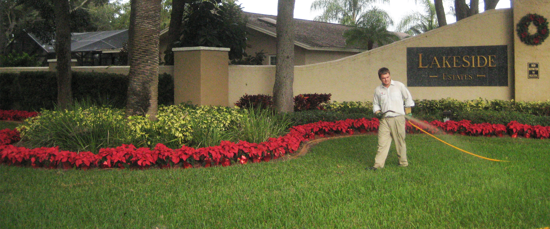 Commercial Pest and Lawn Care Service St Pete Largo Clearwater Seminole Pinellas